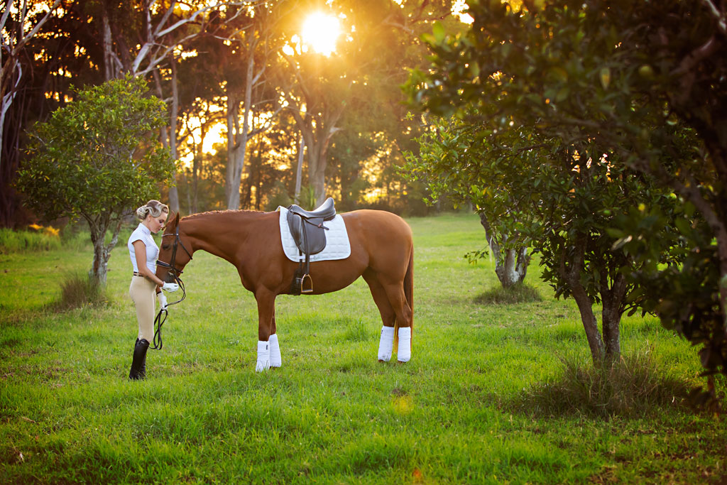 equestrian dressage portraits