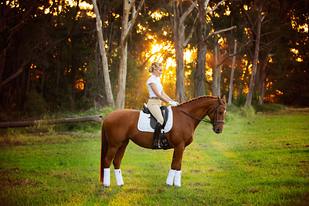 dressage portraits horse and rider