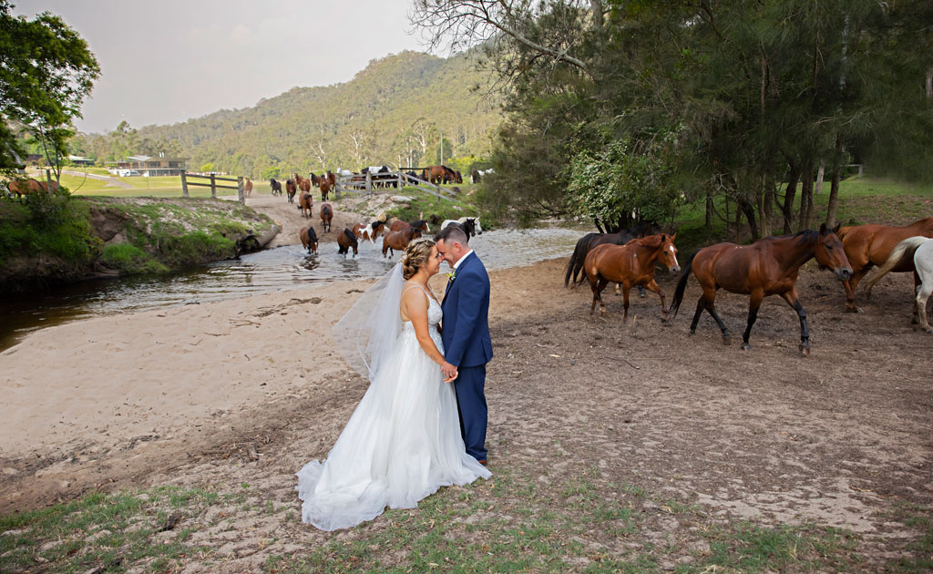 weddings at glenworth running of the horses over the creek