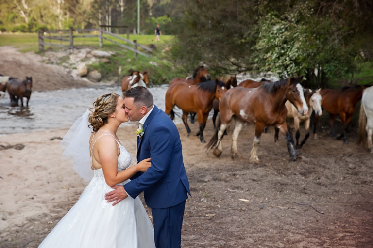 running of the horses glenworth