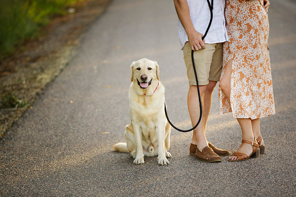 dog photos with couple 