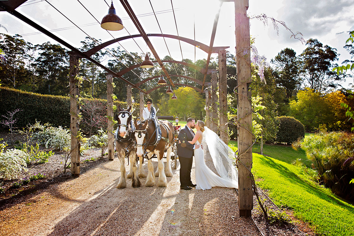 horse and cart at fernbank farm wedding
