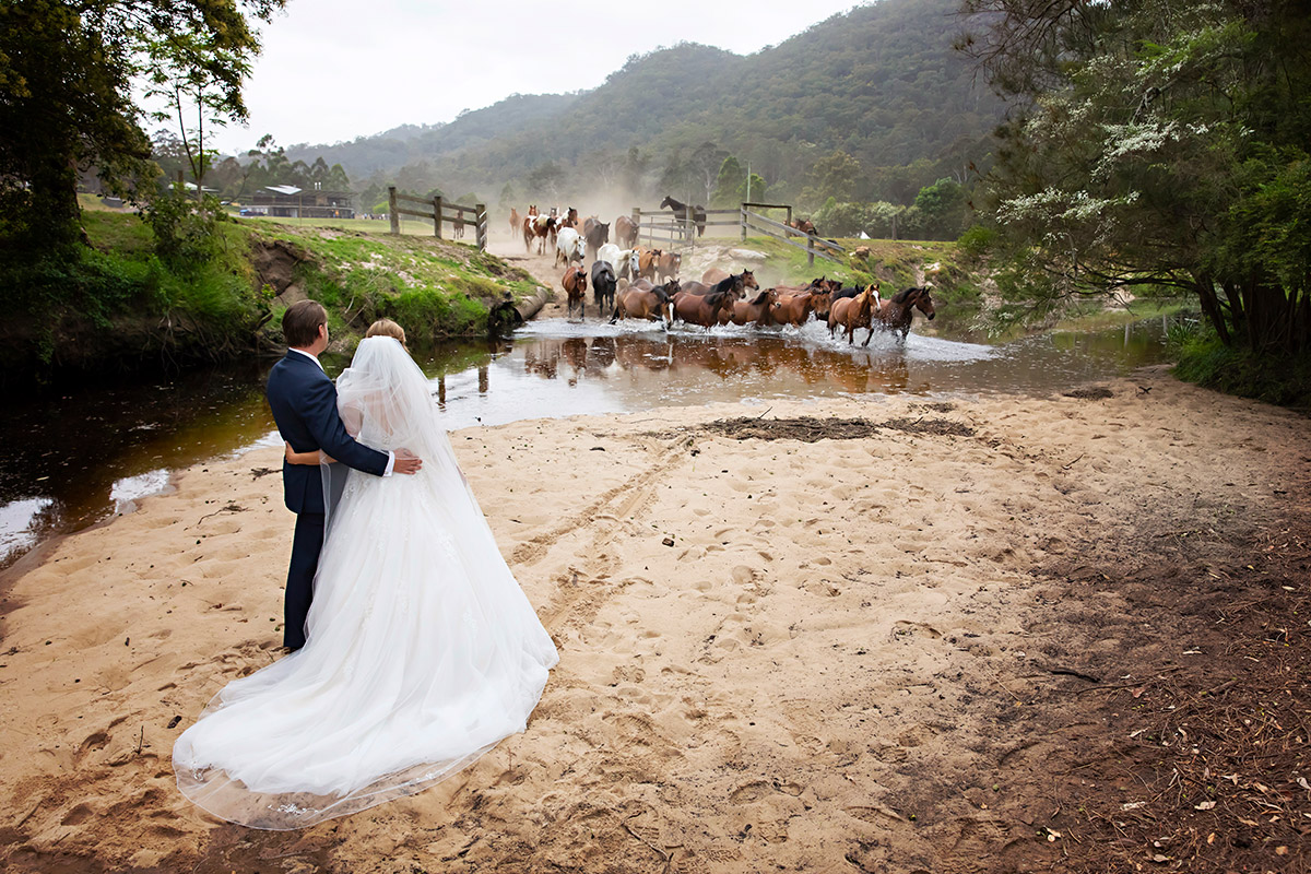 glenworth vallery weddings running of the horses photos