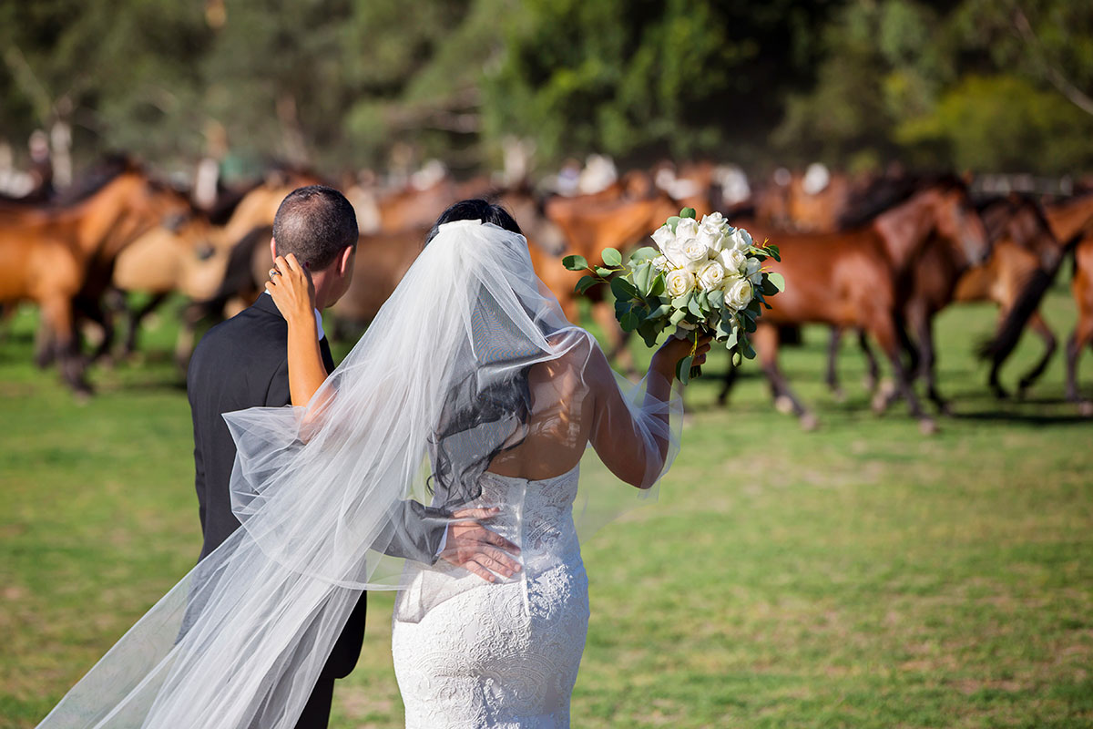 running of the horses wedding photos glenworth valley