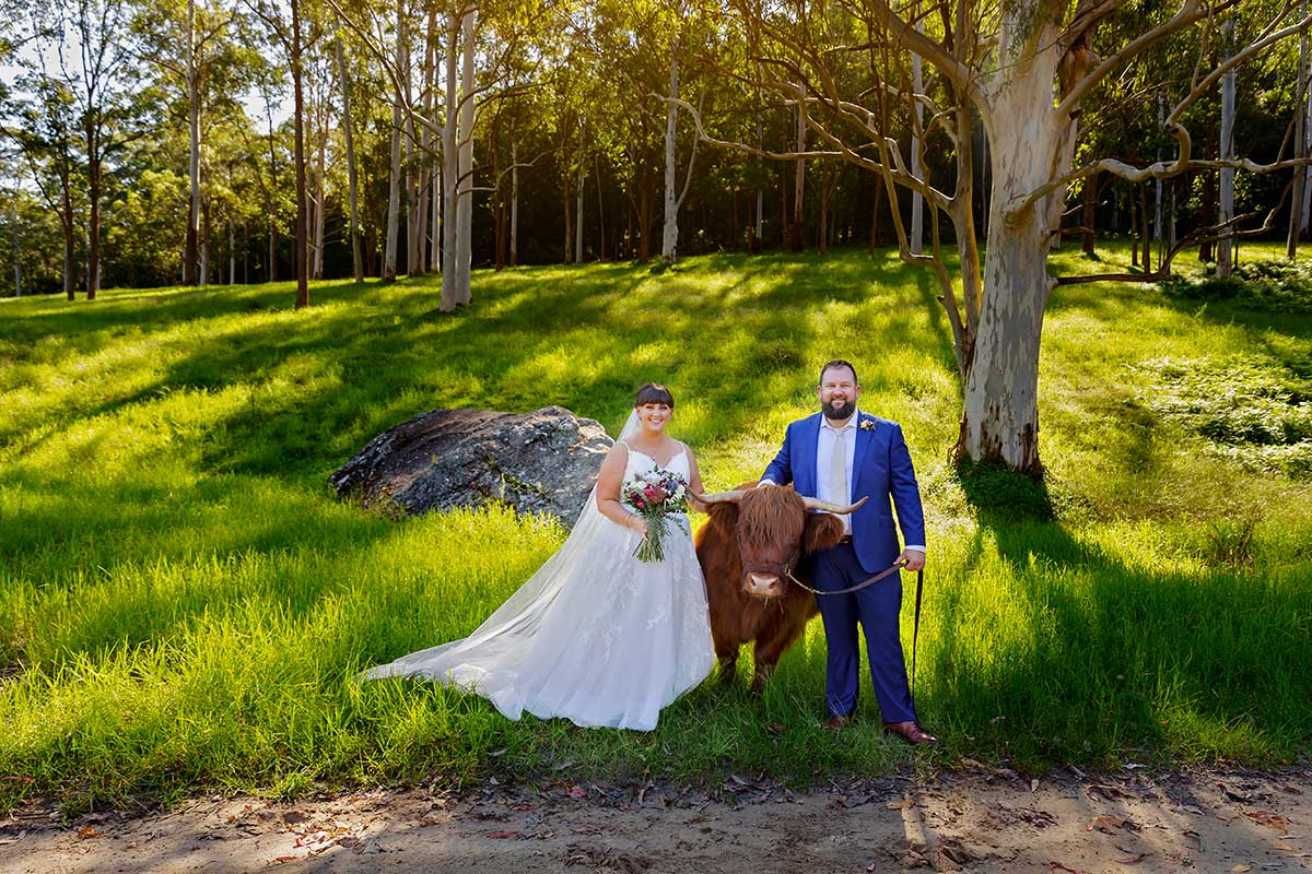 hilda the cow glenworth valley wedding