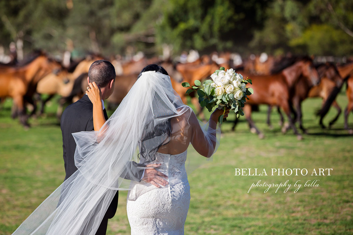 running of the horses on your wedding day at glenworth valley