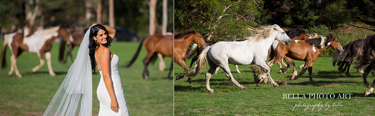 running of the horses on your wedding day at glenworth valley