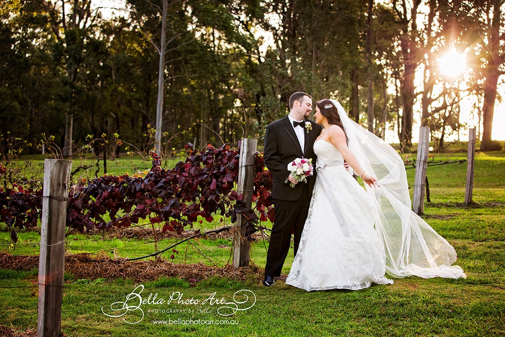 peppers creek barrel room wedding photos in the vines