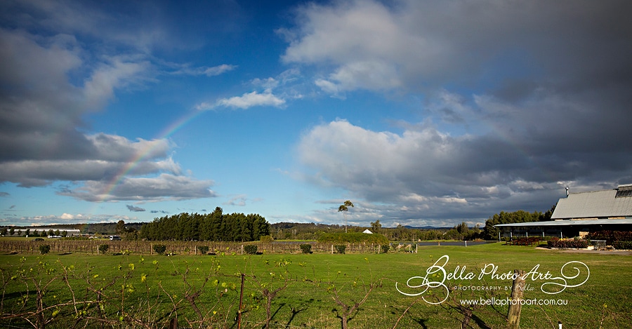 rainbow in the vines 