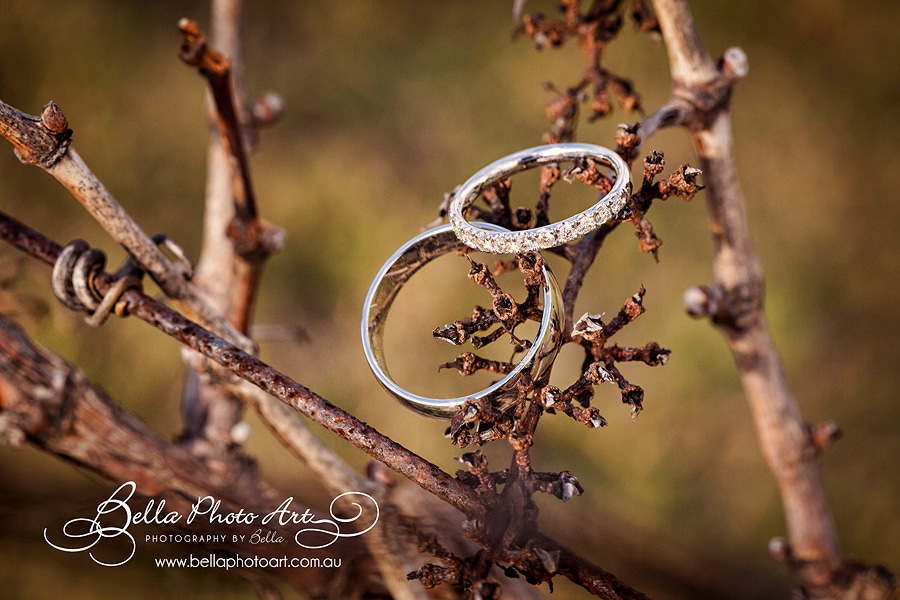 wedding rings in the vines