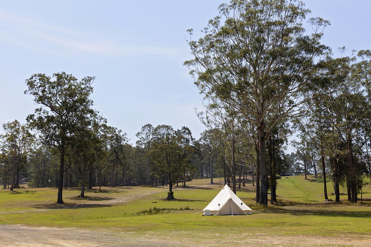 glamping tents weddings